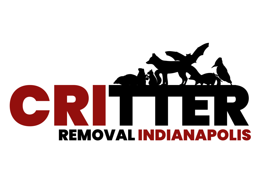 Critter Removal Indianapolis
