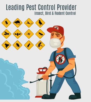 Eco Safe Pest Control