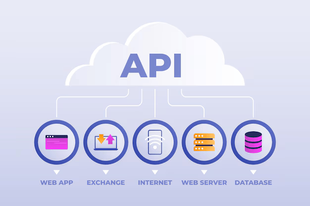 How a Sports Betting API Improves Odds and Data