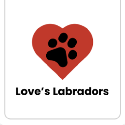 Loves Labradors