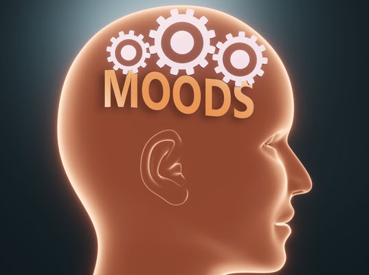 Renewed Mental Health Group