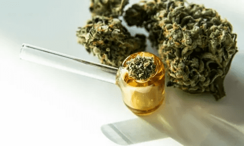 Explore High THCa Strains at HMP Botanicals Today