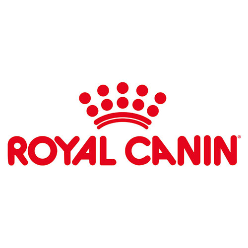 Royal Canin BG – Baby kitten food