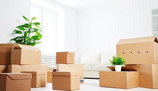 The Benefits of Working with Local Movers in Charleston