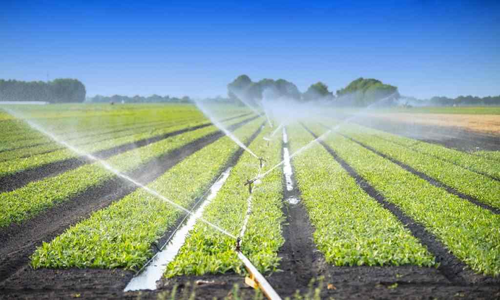Which Irrigation Is Best for Lawns in Laconia, NH?
