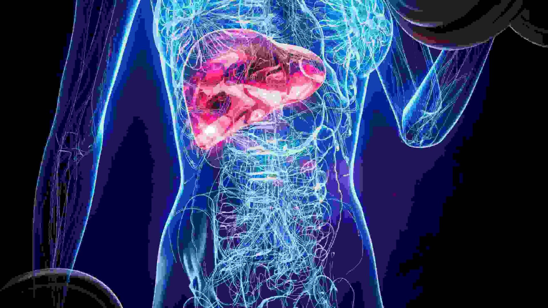 Liver Transplant Treatment Cost in Singapore
