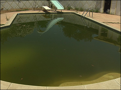 How to Clean a Pool After Rain to Avoid Algae Growth