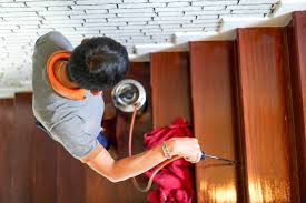 Trust Safe Termite Treatment to Save Your Home