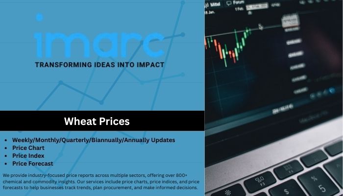 Wheat Prices Q3 2025 | Index & Forecast Report