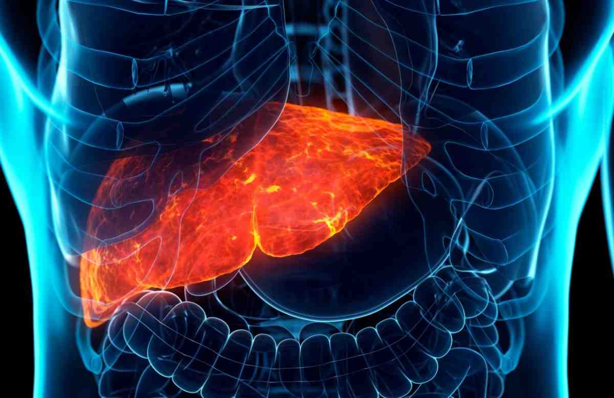 Top Tips to Choose the Best Liver Doctor in Dubai