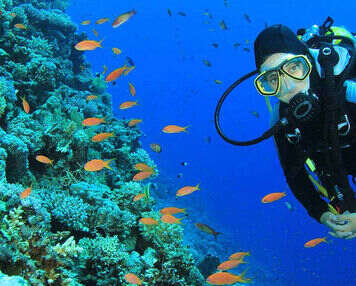 Exploring Andaman in October: A Journey to Paradise