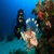 Open Water Diver Course in Andaman with Dive Andaman