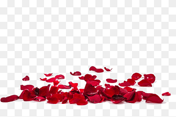Rose Petal Powder for Face – Benefits & Uses