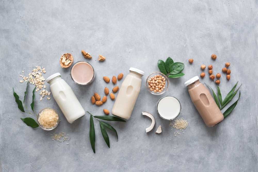 India Plant-Based Milk Market Industry Overview by 2033