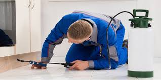 Pest Control Canberra