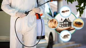Trusted Bee Control Calgary  Safe Home Protection