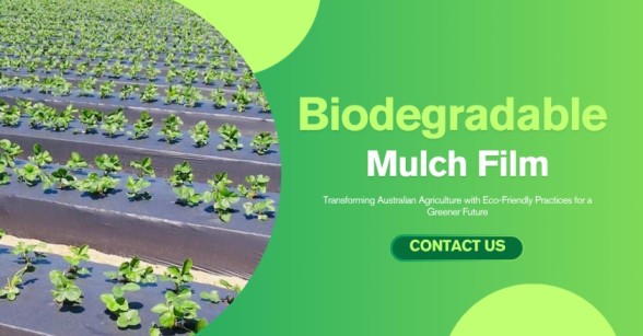 Biodegradable Mulch Film: A Sustainable Solution