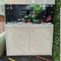 Fish Tank Marine Aquarium Care Solution in Singapore