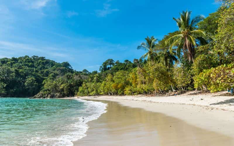 Best Beaches in Costa Rica for Surfing and Relaxation