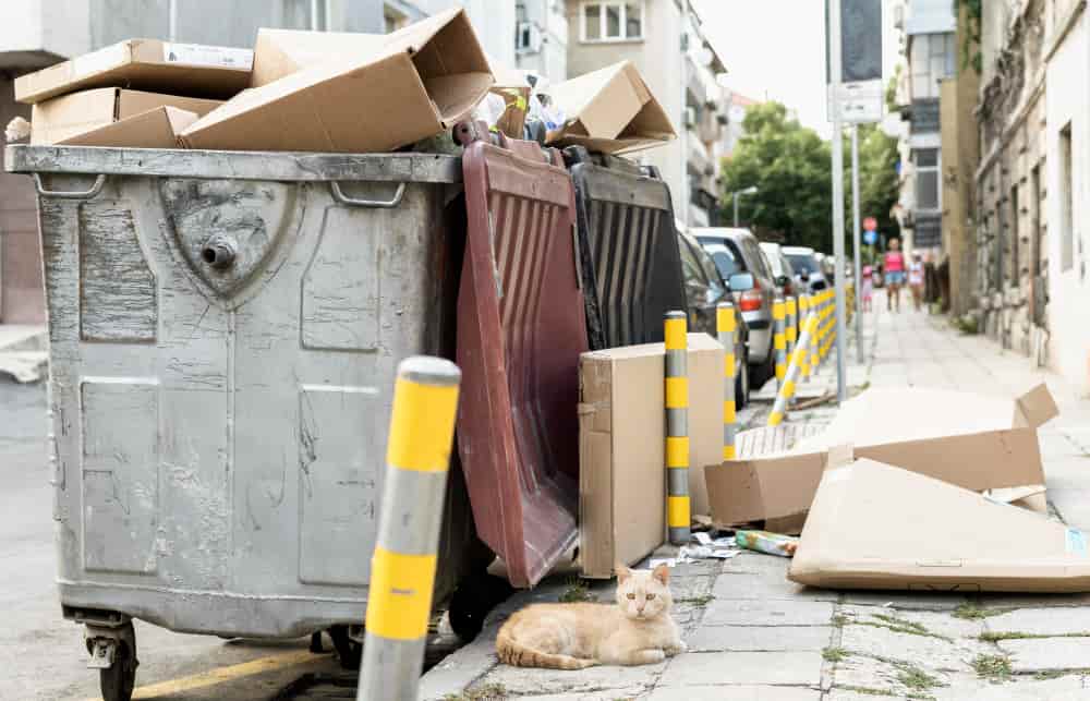 How Junk Removal Services Simplify Home Cleanouts