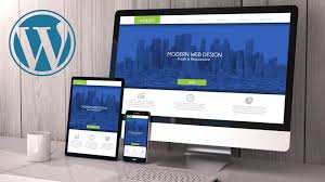 Professional Website Development Services in Chicago