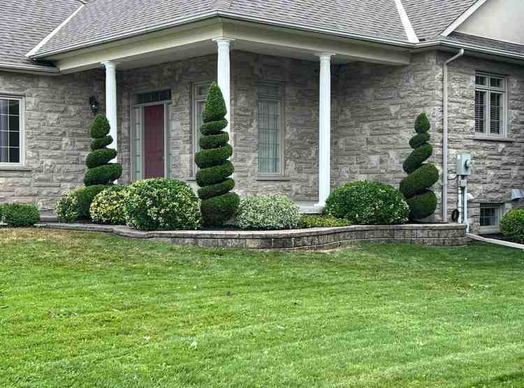 Revive Your Outdoors with Pro Lawn, Tree & Shrub Care