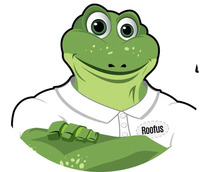 Frogtown Roofing