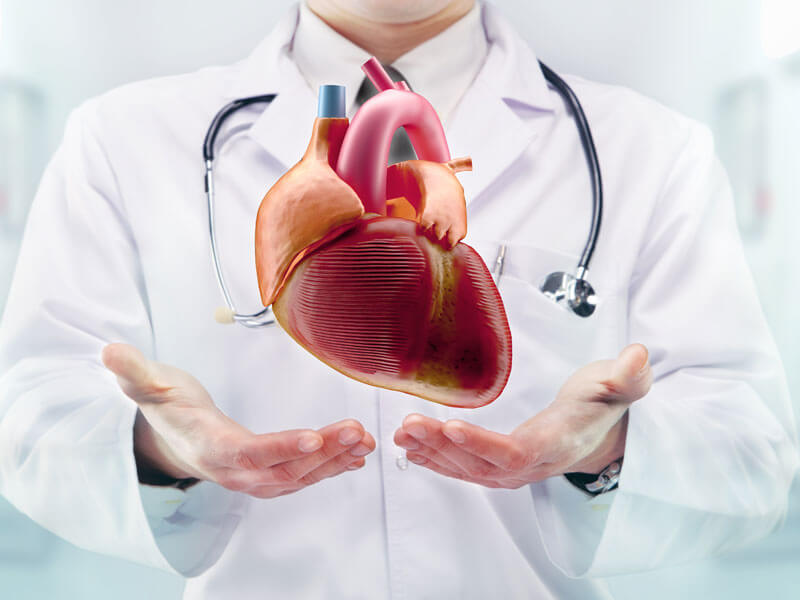 Top Cardiologist Jaipur | Dr. Ankit Gupta