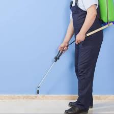 Trusted Inspection of Pest Control Brampton Service