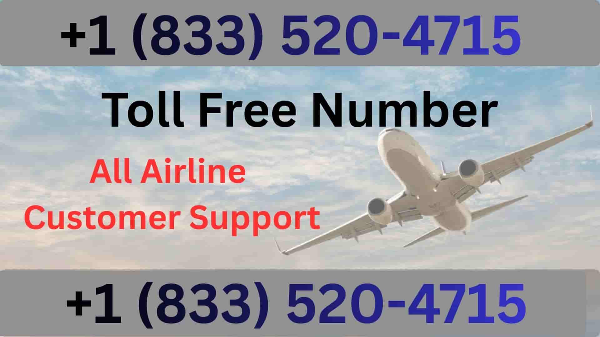 Talk to KLM Airline Representative to New Booking
