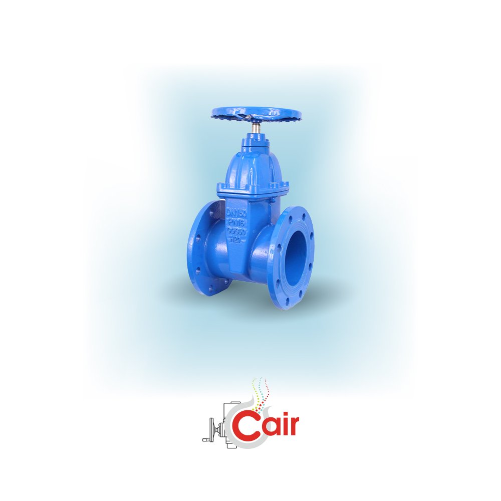 Double Flanged Sluice Valve Manufacturer in Gujarat