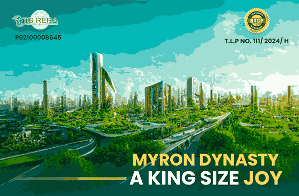 Dynasty – A King Size Joy