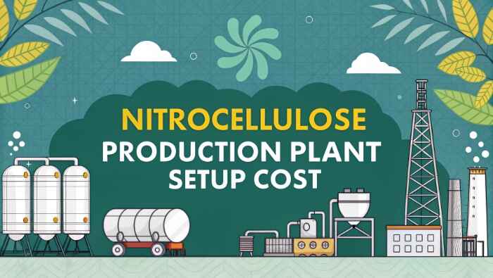 Nitrocellulose Production Plant Setup: Cost Analysis