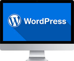 Professional WordPress Development Services for Growth