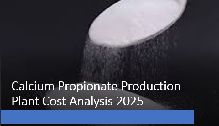Setting Up a Calcium Propionate Production Plant Cost