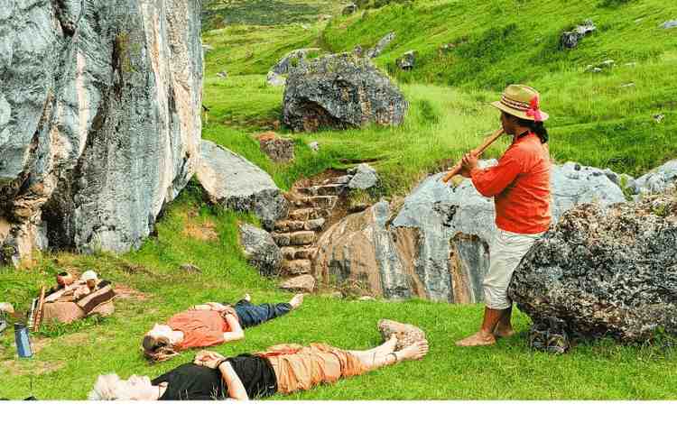Peru Ayahuasca Retreats with Willka Pacha Experience