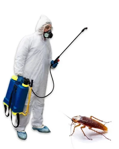 Trusted Cockroach Control for Clean and Healthy Homes