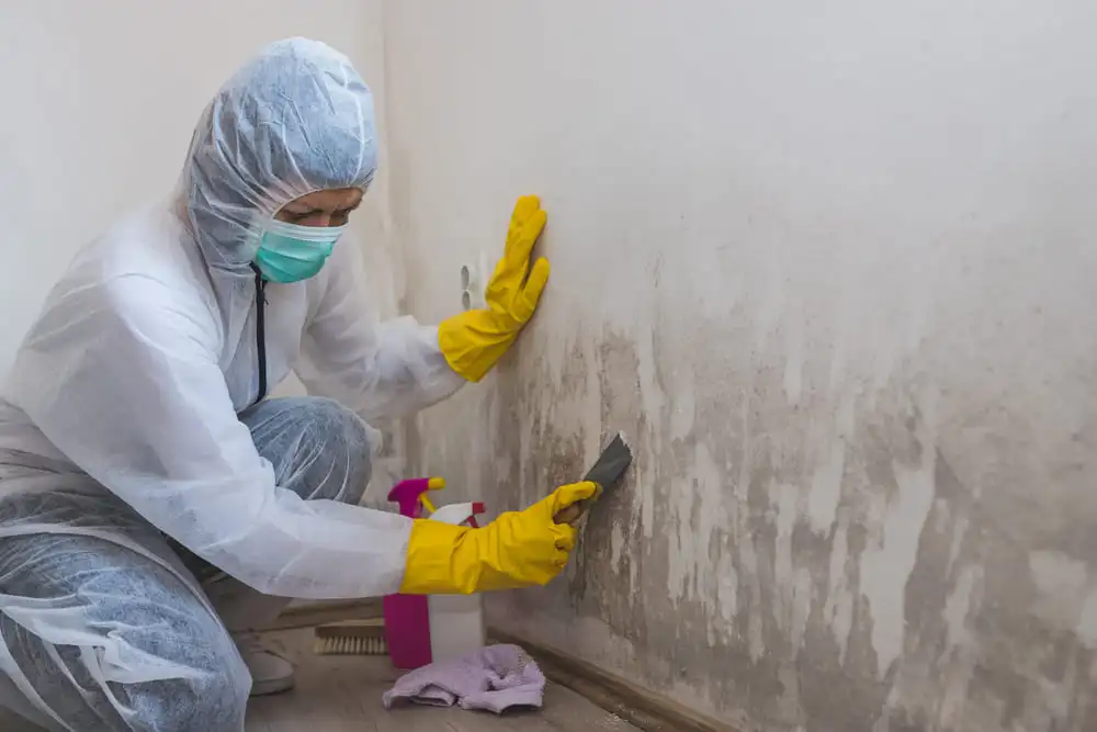 How Trenchless Sewer Replacement Protects Your Home