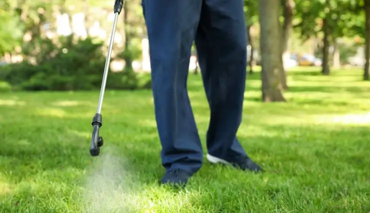 What Every Homeowner in Irvine Should Ask Before Hiring Ant Control