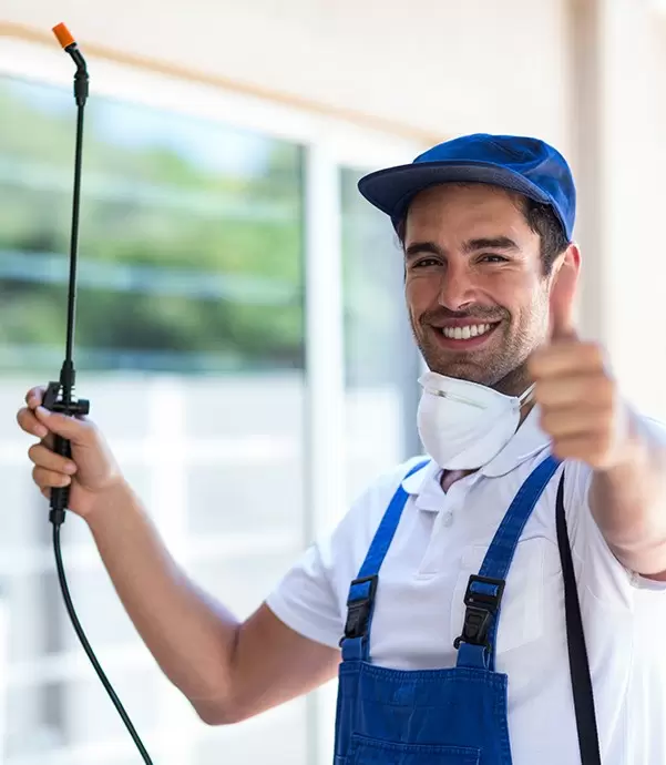 Termite Control Near Me: Protecting Your Property