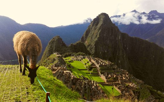 Ayahuasca Retreat Peru | Willka Pacha Experience