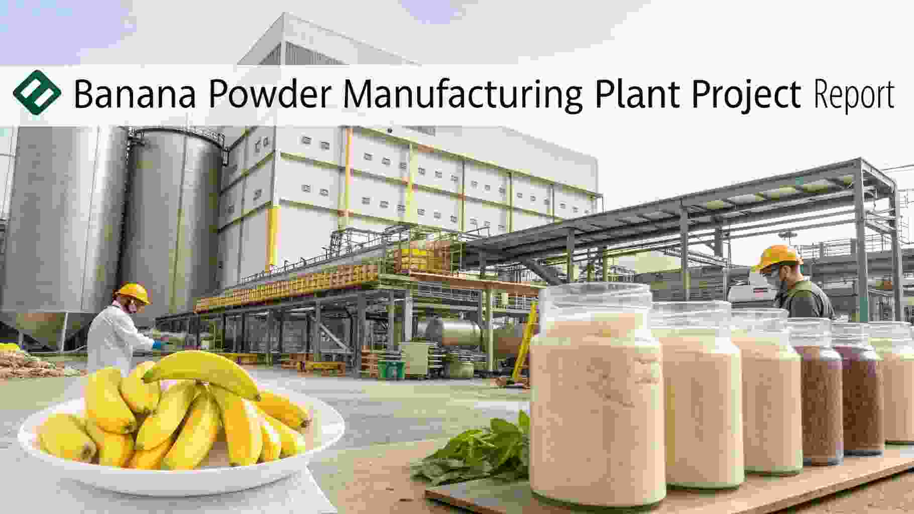 Banana Powder Manufacturing Plant Project Report
