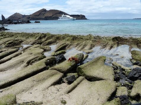 Yacht Charter Galapagos vs Cruises: The Better Choice