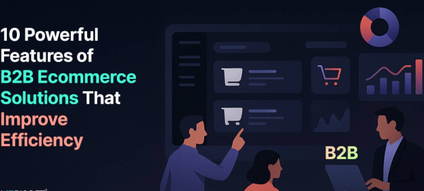 10 Powerful B2B Ecommerce Features for Efficiency