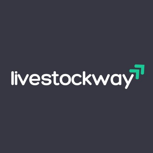 Top 10 Software Development Companies In USA