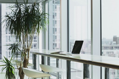 Starting a Business in Dubai: Legal Guide