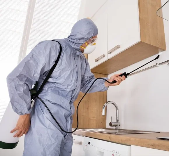 Trusted Markham Pest Control for Safe and Clean Homes