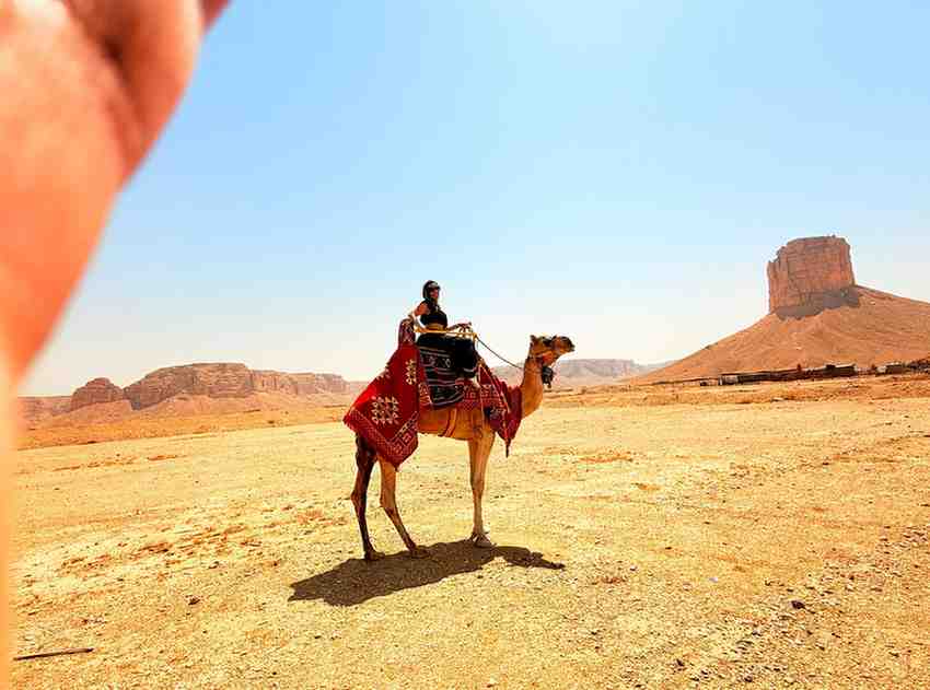 Camel Ride Riyadh and Evening Desert Safari Riyadh