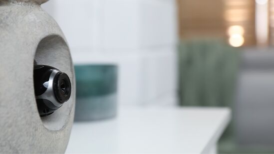Covert Surveillance Cameras for Security
