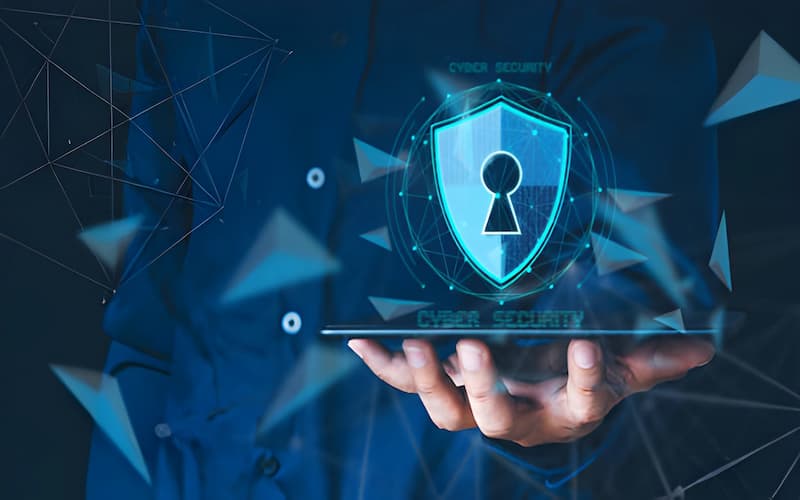 How SMEs Can Build Robust Cyber Protection Plans